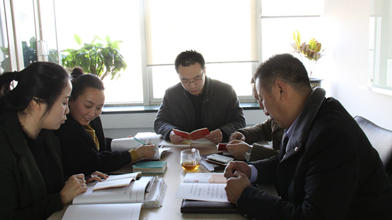中共北京草莓视频软件免费下载电子技术有限公司支部委员会成立